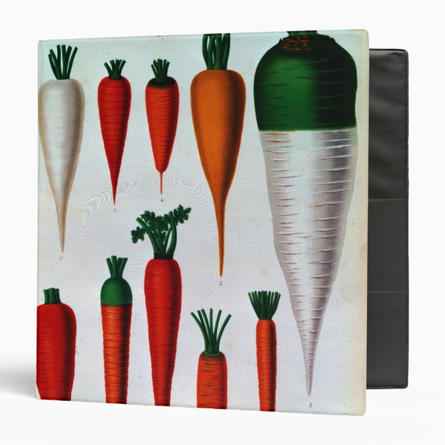 Carrots Binder (Front/Inside)