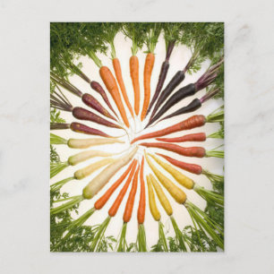 Carrots Colourful Garden Pattern Postcard