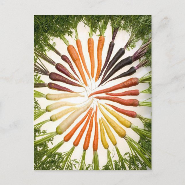 Carrots Colourful Garden Pattern Postcard (Front)