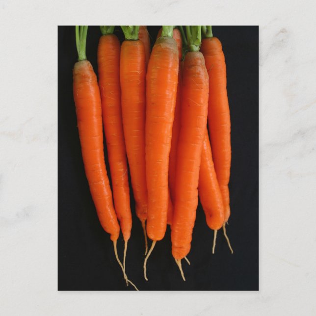 Carrots Fresh from the Garden Postcard (Front)