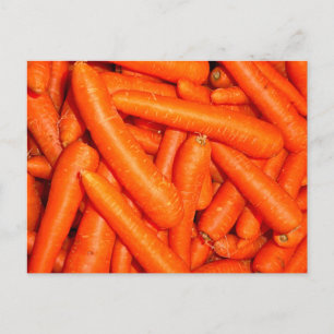 CARROTS POSTCARD