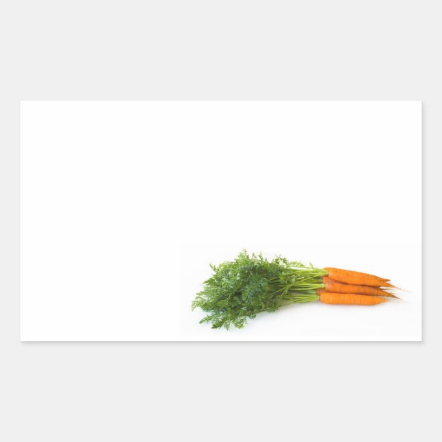 Carrots Sticker (Front)