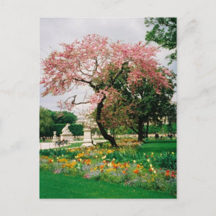 Carrousel Gardens Postcard