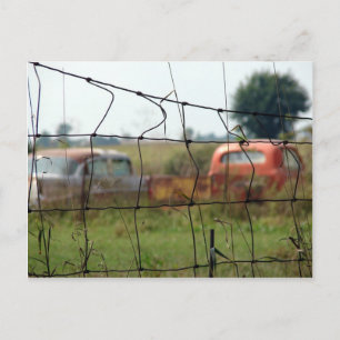 Cars and Trucks Rust Away in a Rural Field Postcard