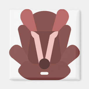 carseat magnet