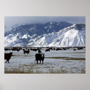 Carson Valley Poster