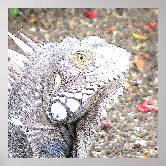 CArt Iguana Poster (Front)