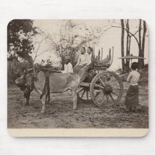 Cart pulled by two oxen at Mandalay, Burma Mouse Pad