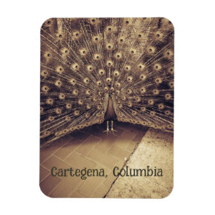 Cartagena, Columbia Magnet