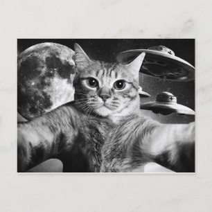 Cartão Postal Cat Space Postcard
