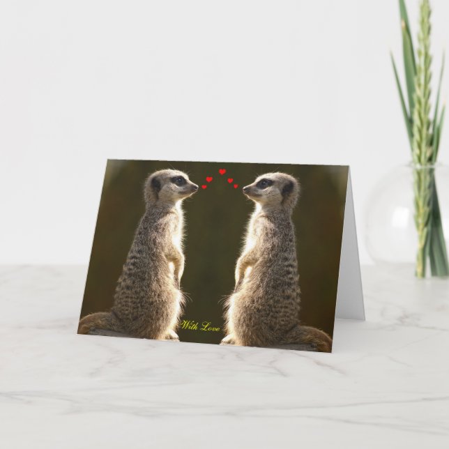 Carte 002 de Meerkat Valentine (Devant)