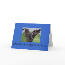 013, Compter votre âge en écorces...