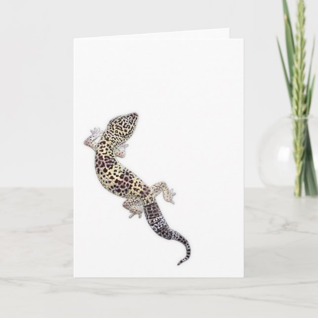 Carte 01 de Gecko (Devant)