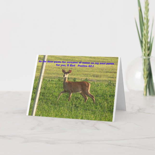 Carte 100_3149, Comme le cerf pantalon pour les flux d'e (Devant)