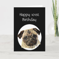 101e anniversaire Humour animal animal, Carlin chi