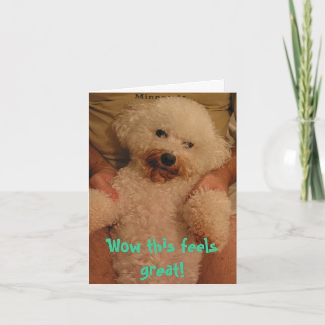 Carte 110-1042_IMG, Wow, c'est super ! (Devant)