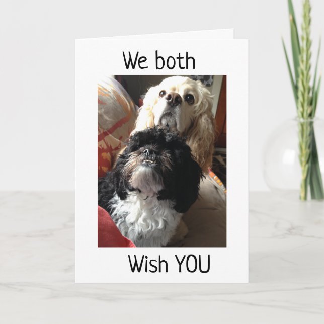 Carte 12ème" SOUHAITS D'ANNIVERSAIRE DES DEUX CHIENS AMÉ (Devant)
