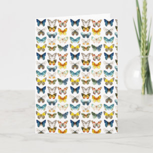 Carte 13 beaux papillons insecte art aquarelle