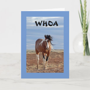 Carte **13e ANNIVERSAIRE** DU CHEVAL COMÉDIQUE