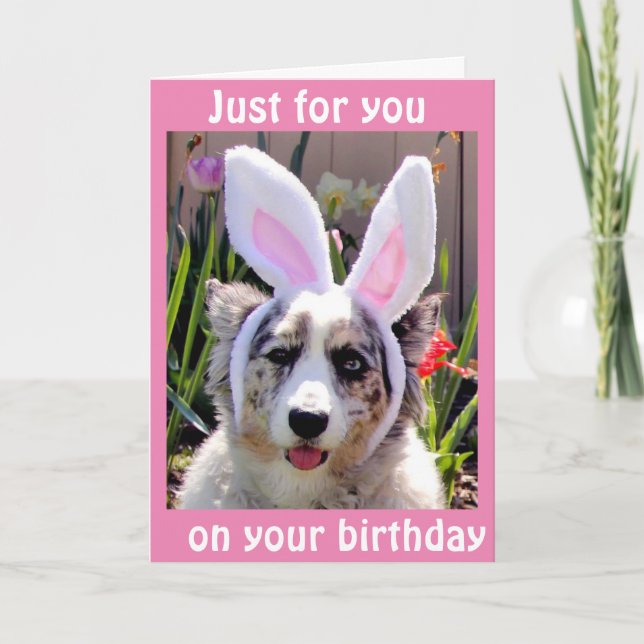Carte ***13e ANNIVERSAIRE** J'AI PRIS MES OREILLES POUR  (Devant)