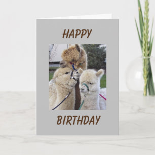 Carte **13e** SOUHAITS D'ANNIVERSAIRE - ADOLESCENT SPÉCI