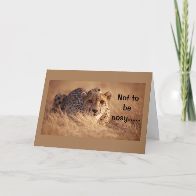 Carte **16e anniversaire** HUMOUR d'un seul CAT (Devant)