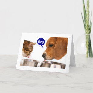 Carte 16e anniversaire - NOUVEL HUMOUR CONDUCTEUR