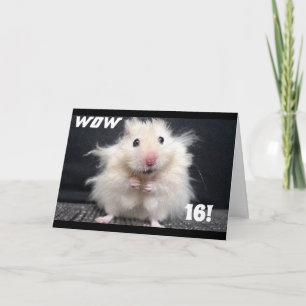 Carte ***16e ANNIVERSAIRE SOUHAITS*** W0W CHEVEUX EST EN