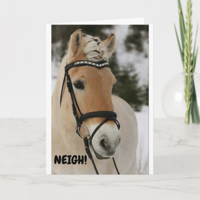 Carte ***16e ANNIVERSAIRE**** WOW DIT SURPRISE CHEVAL Ca (Devant)