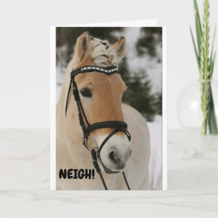 Carte ***16e ANNIVERSAIRE**** WOW DIT SURPRISE CHEVAL Ca