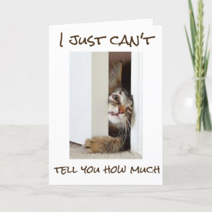 Carte ***16e*** HUMOUR D'ANNIVERSAIRE=CHAT SE RELEVER