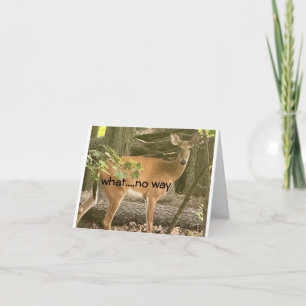 Carte **16e** SOUHAITS D'ANNIVERSAIRE DE CERFS ASTONISÉS