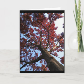 Carte ~ 18 d'automne