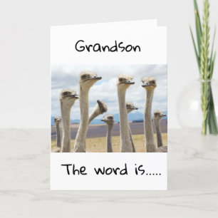 CARTE **18** VOUS ÊTES MAINTENANT ADOLESCENT **GRANDSON*