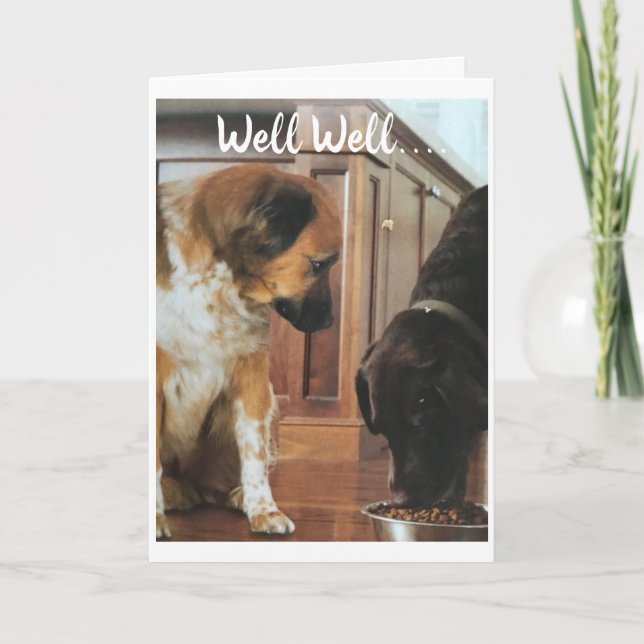 Carte *18ème anniversaire* HUMOUR des CHIENS ! (Devant)