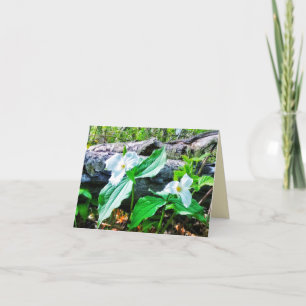 CARTE 1CARTE DE RÉDACTION TRILLIUMS