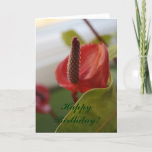 Carte 20080427_4, joyeux anniversaire !