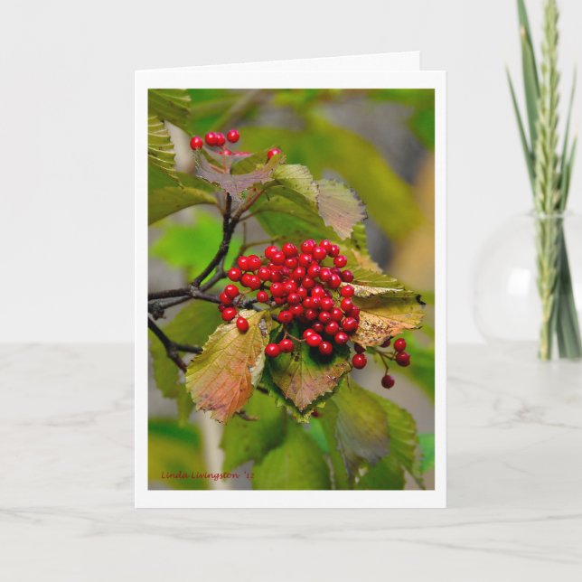 Carte 2012 de Noël de baies d'automne (Devant)