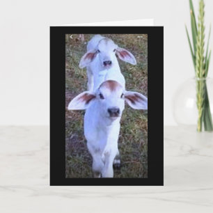 CARTE "21 C'EST QUELQUE CHOSE QUI FAIT LA CHANCE"