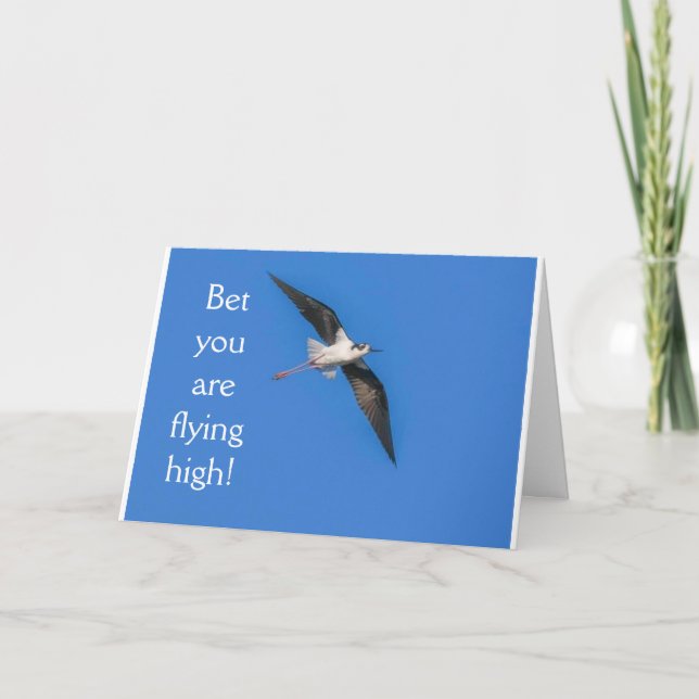 CARTE **21E ANNIVERSAIRE HUMOUR OISEAU** ANNIVERSAIRE (Devant)