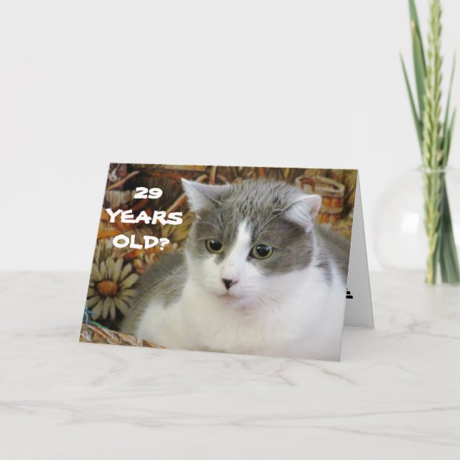 Carte 29? Tu as le chat pour être mon chaton (Devant)