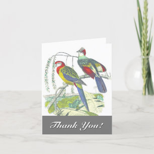 Carte 2 Oiseaux perchés sur une branche, "Merci !"
