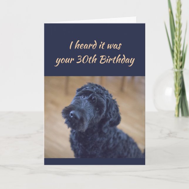Carte 30e anniversaire amusant mignon bouclé noir chien  (Devant)