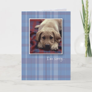 Carte 3756 je suis chiot désolé