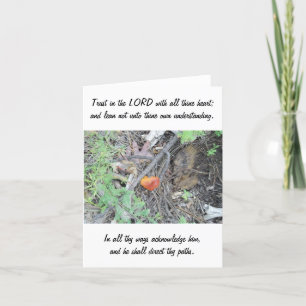 Carte 3:5 de proverbes - 6