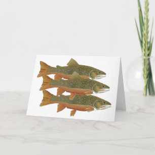 Carte 3 Brook Trout