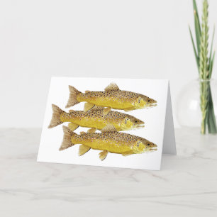 Carte 3 Brown Trout