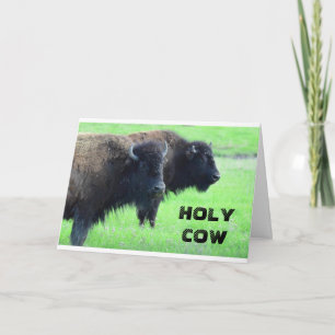 Carte ****40e ANNIVERSAIRE*** DE BUFFALO COMÉDIQUE