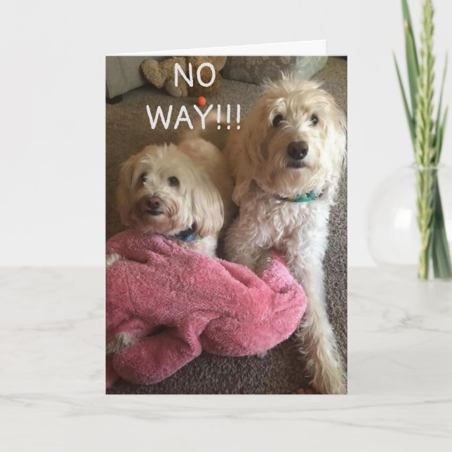 Carte **40e ANNIVERSAIRE** SOUHAITS DE CERTAINES CUTE PU (Devant)