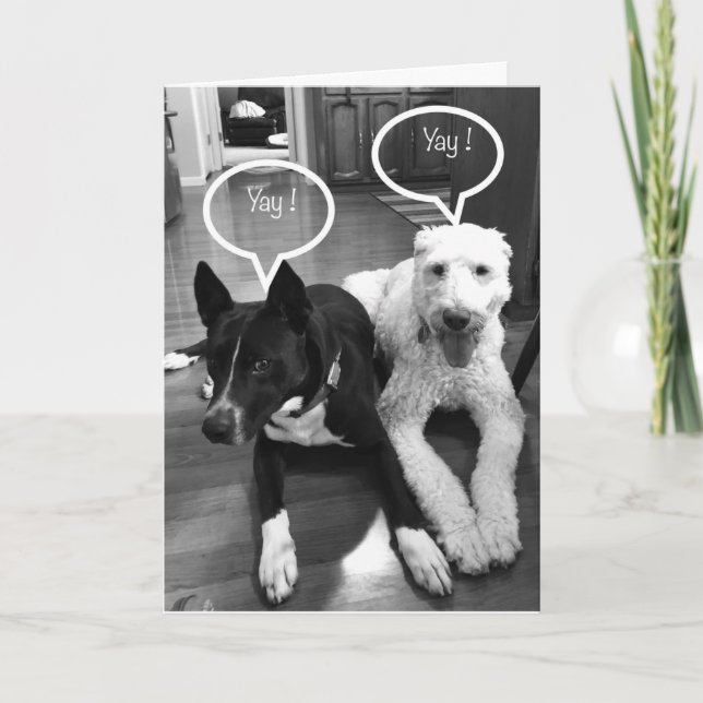Carte **40e** HUMOUR D'ANNIVERSAIRE DE DEUX POUPES (Devant)